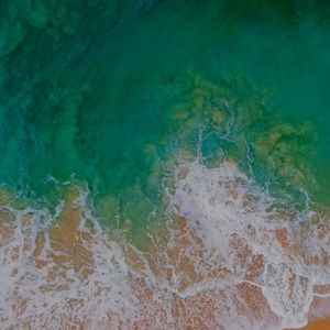 Meet your Posher, Katelyn